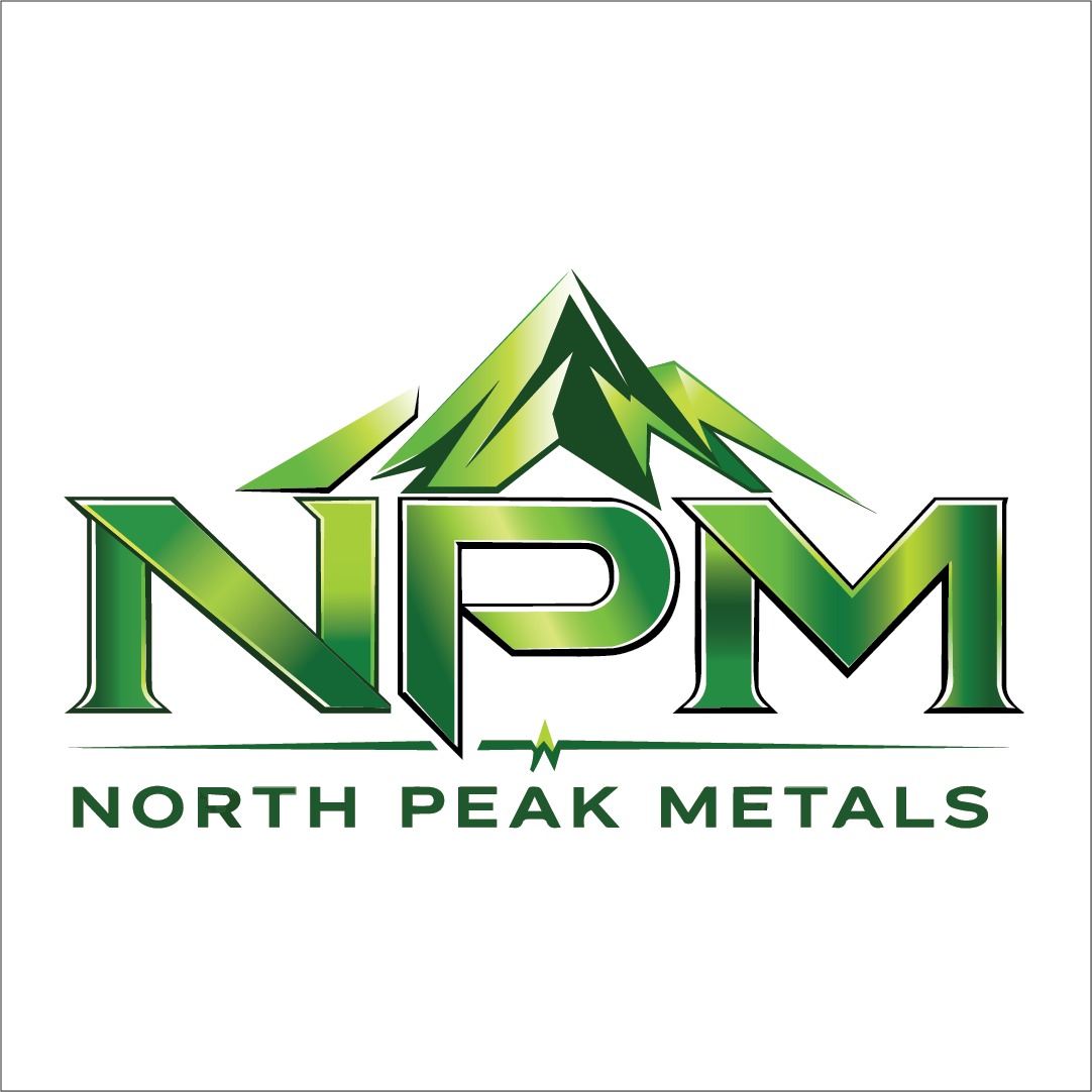 NPM Logo